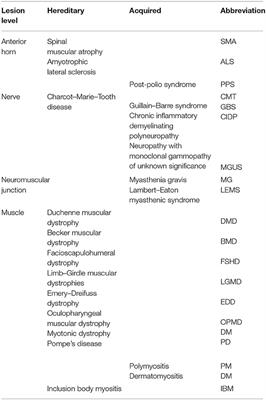 Neuromuscular Diseases and Bone